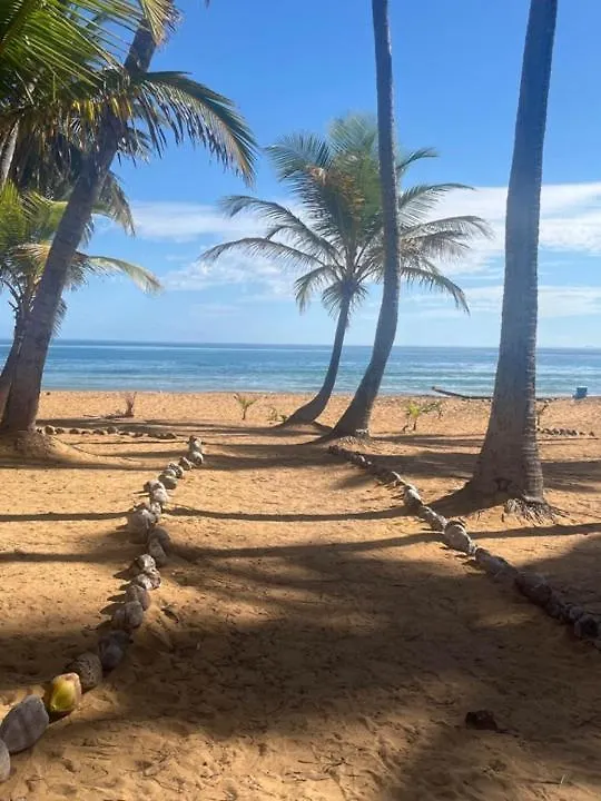 Oceanview Apartment Steps To The Beach Luquillo