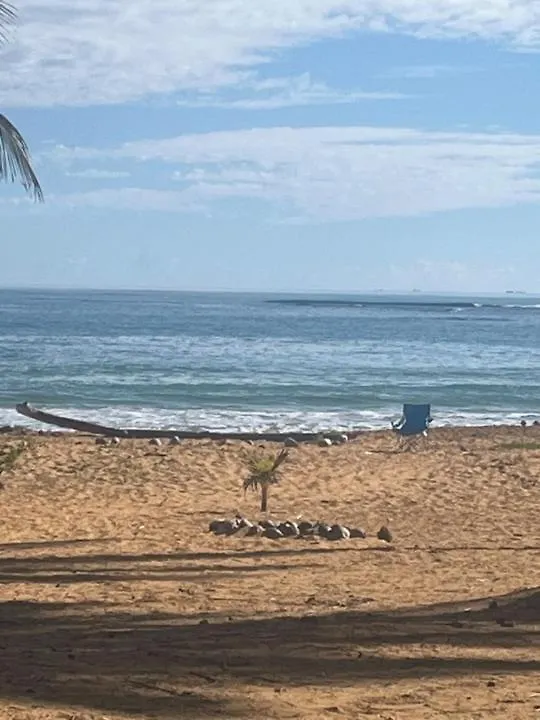 Oceanview Apartment Steps To The Beach Luquillo 0*,
