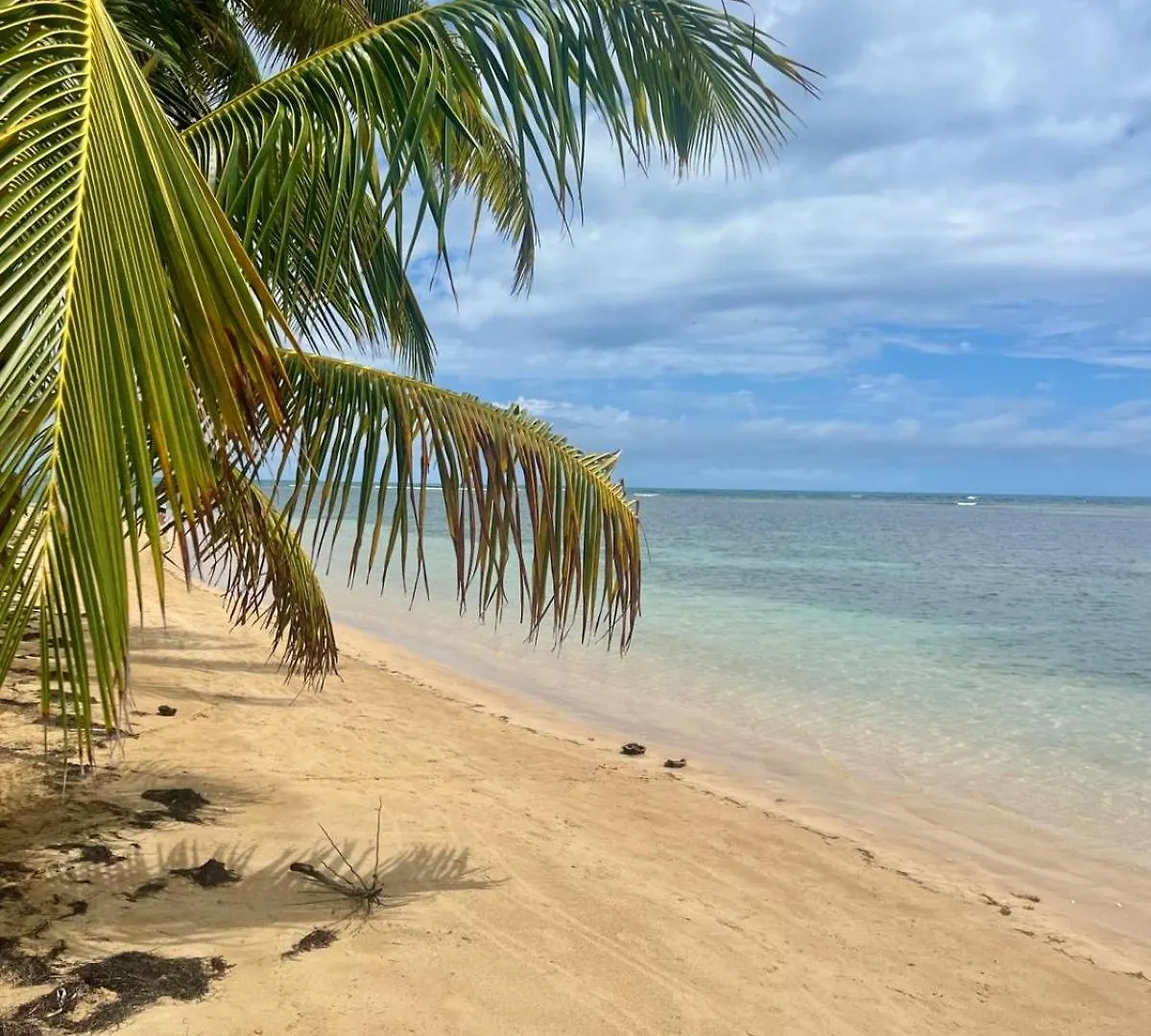 Oceanview Apartment Steps To The Beach Luquillo 0*,