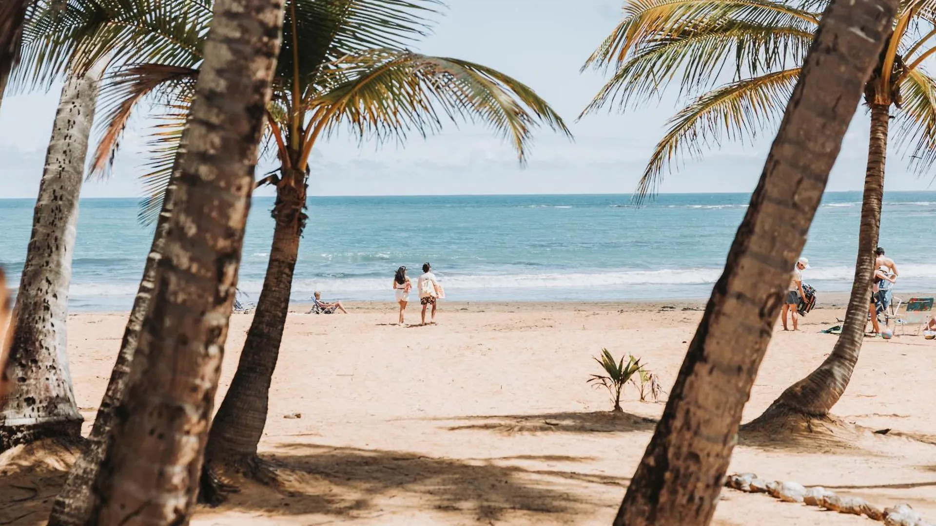 Oceanview Apartment Steps To The Beach Luquillo